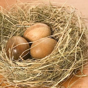 Dekorative Holzeier Ostern im Nest